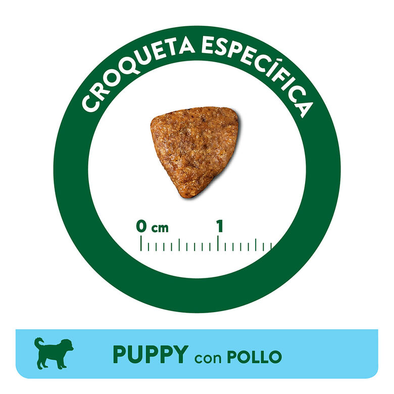 LIBRA PUPPY POLLO - Imagen 6