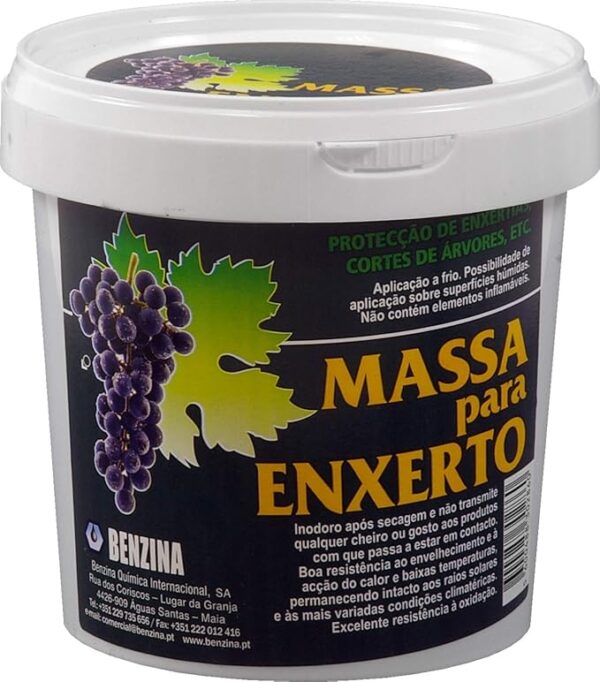 BENZINA PASTA CICATRIZANTE INJERTOS