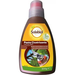 Pasta Cicatrizante 300g SOLABIOL