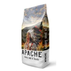 Alpiste Apache