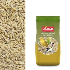 Avena Pelada para Aves Jarad