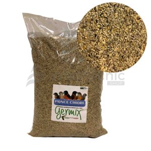 Barrigas Blancas Cardenalitos Germix Blattner 5KG